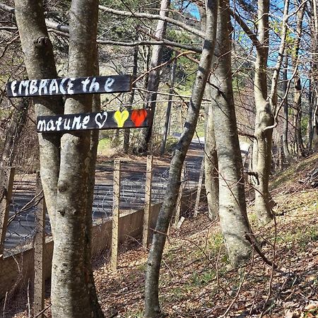 Shkreli Resort Qafeshtame Cudhi-Kamt Esterno foto