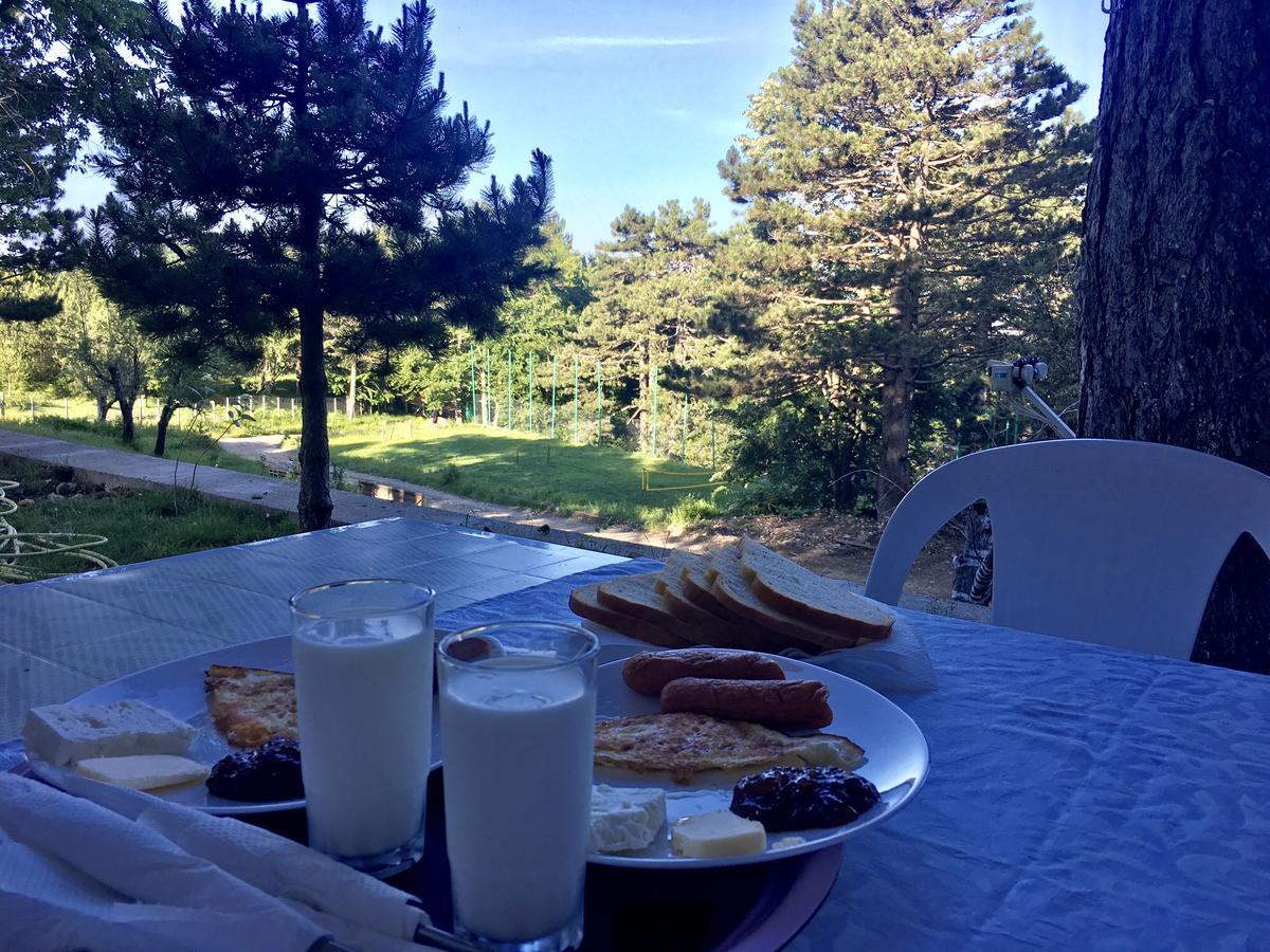 Shkreli Resort Qafeshtame Cudhi-Kamt Esterno foto